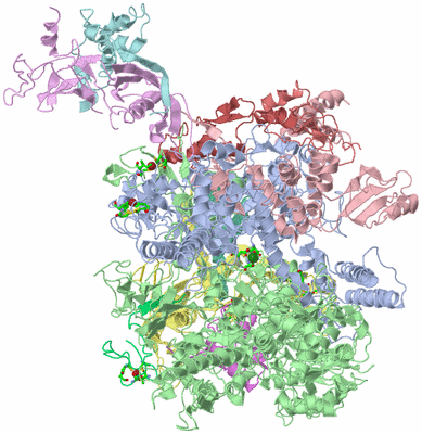 Image Biol. Unit 1 - sites