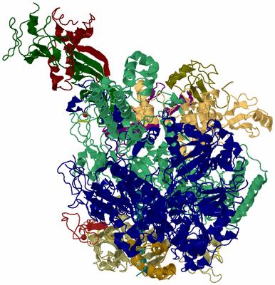 Image Biological Unit 2