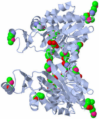 Image Biol. Unit 1 - sites