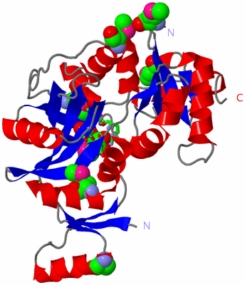 Image Asym. Unit - sites