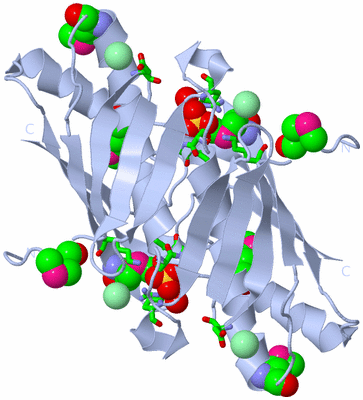 Image Biol. Unit 1 - sites