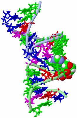 Image NMR Structure - model 1