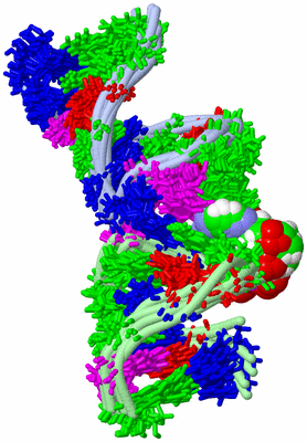 Image NMR Structure - all models