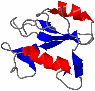 Image NMR Structure - model 1