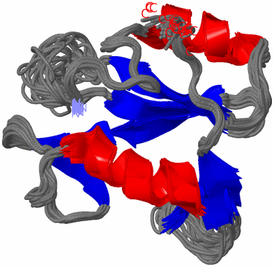 Image NMR Structure - all models