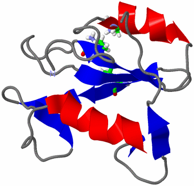 Image NMR Structure - model 1, sites