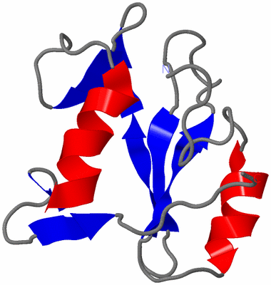 Image NMR Structure - model 1