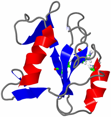 Image NMR Structure - model 1, sites