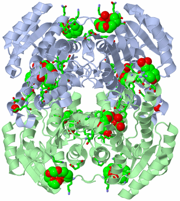 Image Biol. Unit 1 - sites