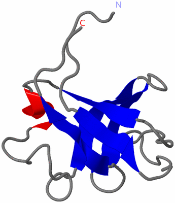 Image NMR Structure - model 1