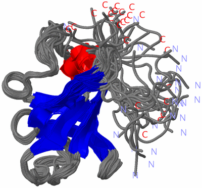 Image NMR Structure - all models