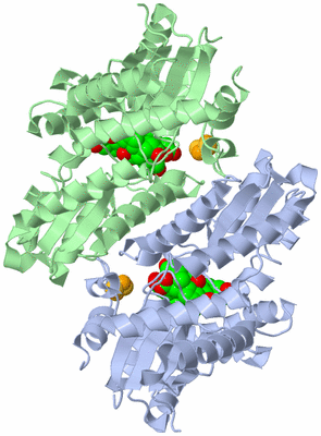 Image Asym./Biol. Unit