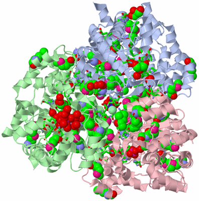 Image Biol. Unit 1 - sites