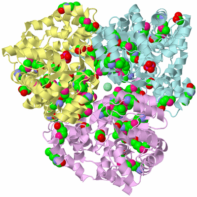 Image Biological Unit 2