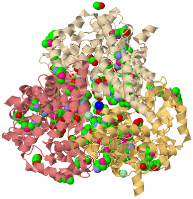 Image Biological Unit 3