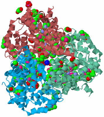 Image Biological Unit 4