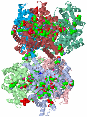 Image Biological Unit 5