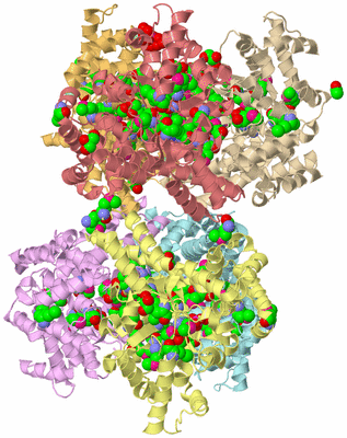 Image Biological Unit 6