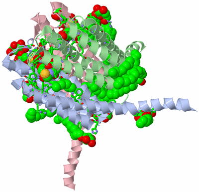 Image Biol. Unit 1 - sites