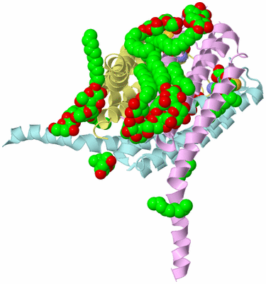 Image Biological Unit 2