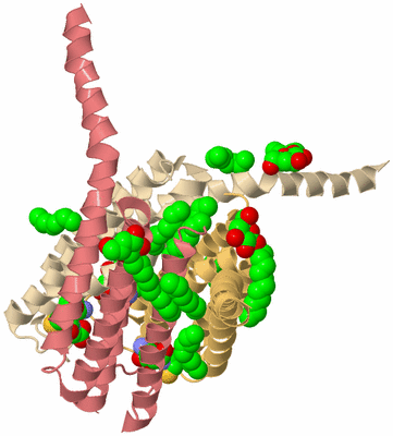 Image Biological Unit 3