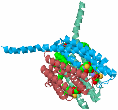 Image Biological Unit 4