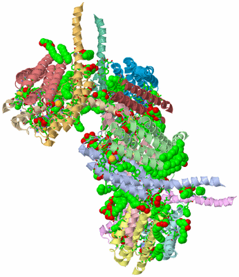 Image Asym. Unit - sites