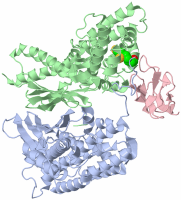 Image Biological Unit 1