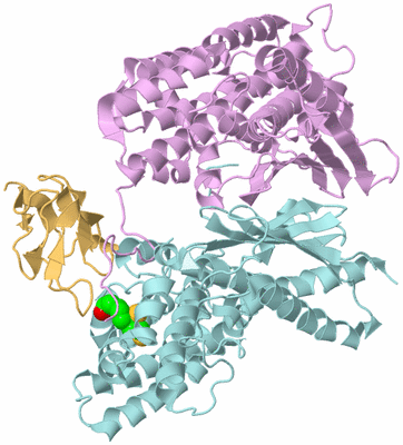 Image Biological Unit 2