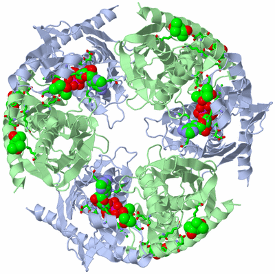 Image Biol. Unit 1 - sites