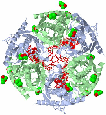 Image Biological Unit 1