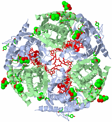 Image Biol. Unit 1 - sites