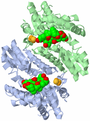 Image Asym./Biol. Unit