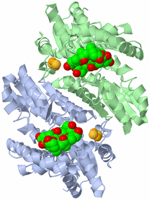 Image Asym./Biol. Unit