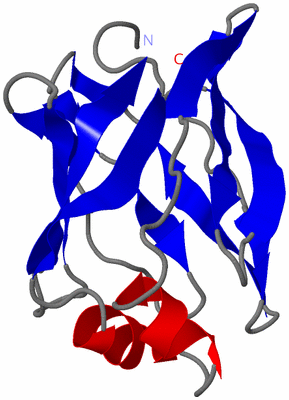 Image NMR Structure - model 1