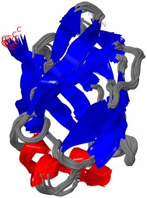 Image NMR Structure - all models