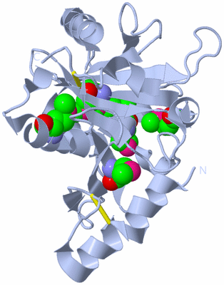 Image Biological Unit 1