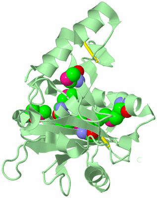 Image Biological Unit 2