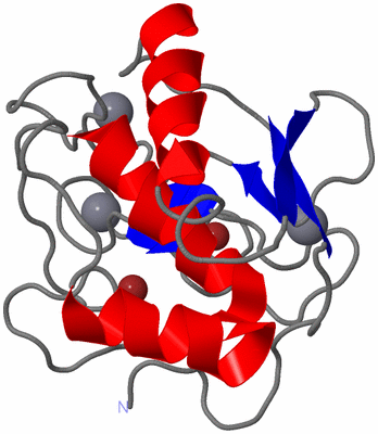 Image NMR Structure - model 1