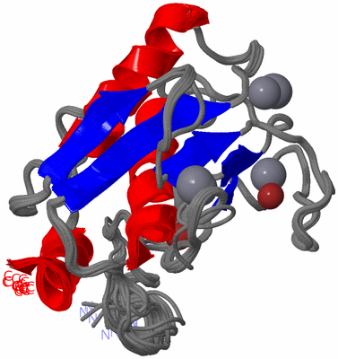 Image NMR Structure - all models