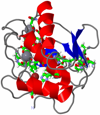 Image NMR Structure - model 1, sites