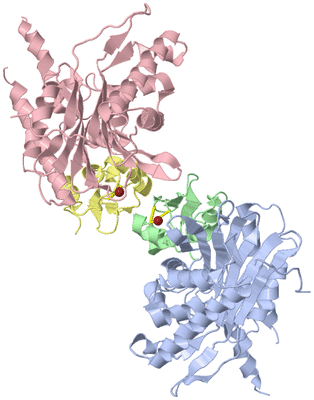 Image Asym./Biol. Unit