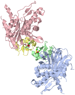 Image Asym./Biol. Unit - sites