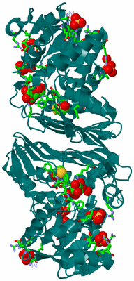 Image Biol. Unit 1 - sites