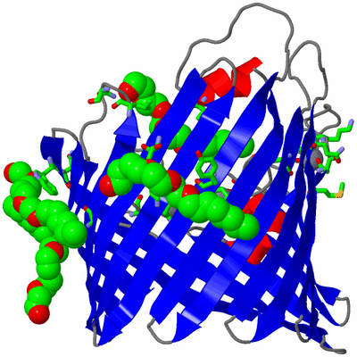 Image Asym. Unit - sites