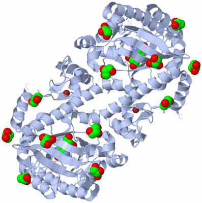 Image Biological Unit 1