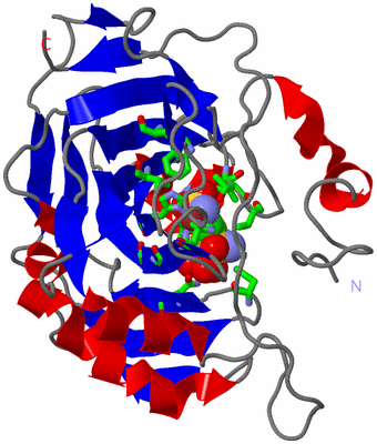 Image Asym./Biol. Unit - sites