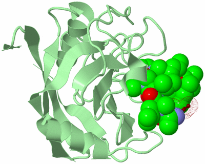 Image Biological Unit 2