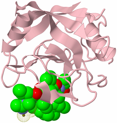 Image Biological Unit 3