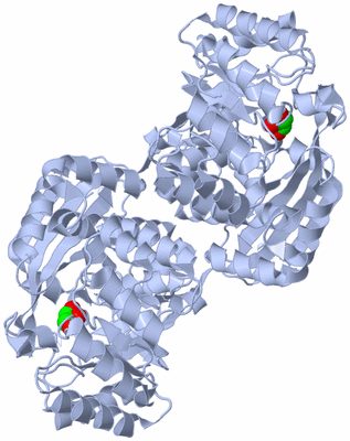 Image Biological Unit 2